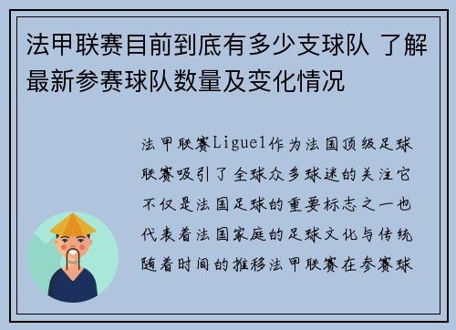 法甲联赛目前到底有多少支球队 了解最新参赛球队数量及变化情况