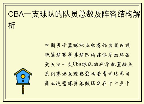 CBA一支球队的队员总数及阵容结构解析