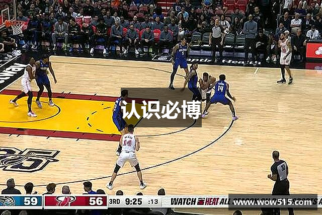 认识必博